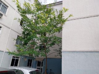 Imagem do imóvel AP40903