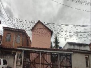 Imagem do imóvel CA91159