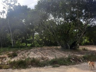 Imagem do imóvel TE95766